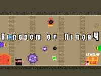 Kingdom of Ninja 4 image