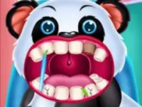 Wild Animal Hospital Veterinarian image