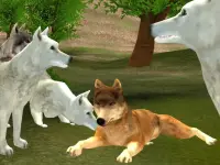Wild Wolves image