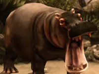 Wild HIPPOPOTAMUS Hunting image