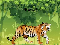 Angry Tiger Coloring image