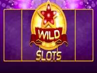 Wild Slot image