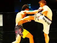 UFC Fighting Match Jigsaw image