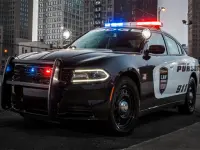 Police Cars Slide image