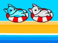 Aqua Dogy image