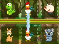 Animals Pairing image