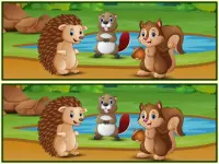 image bg Spot The Differences Forests
