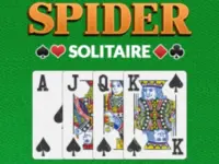 image bg Spider Solitaire Pro
