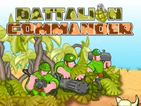 Battalion Commander image