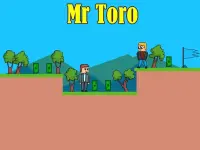 image bg Mr Toro