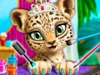 image bg Jungle Animal Hair Salon