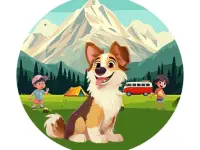 Dog Hide N Seek image