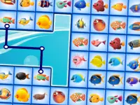 Fish Connections image