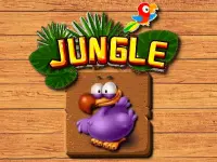 Jungle Matching image