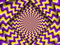 Optical Illusion image