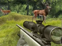 image bg Sniper Hunting Deadly Animal