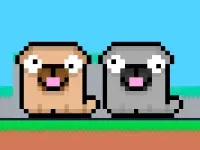 Friends Pug image