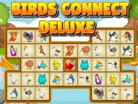 Birds Connect Deluxe image