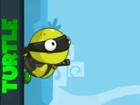 Turtle image