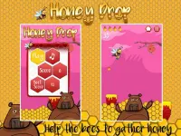 HoneyDrop image