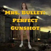 Mr Bullet Crazy Games